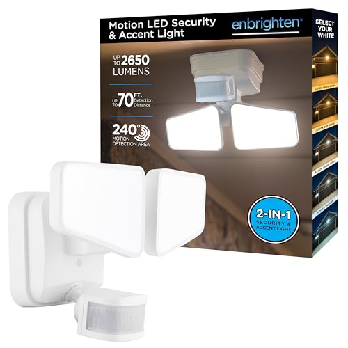 Best Outdoor Flood Lights