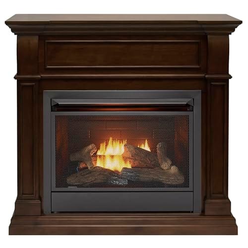 Best Gas Fireplace Inserts